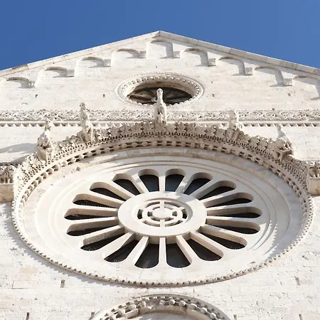 Sam House Spazio Ed Eleganza Nel Centro Di